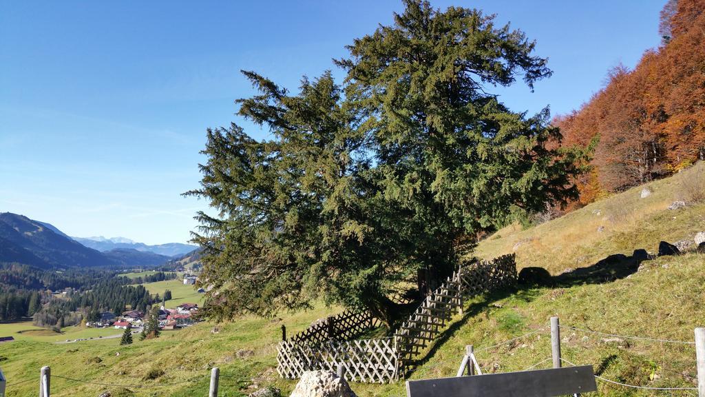 Gaestehaus Bergfrieden Bolsterlang Exteriér fotografie